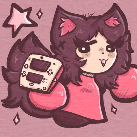 2DS 2DS